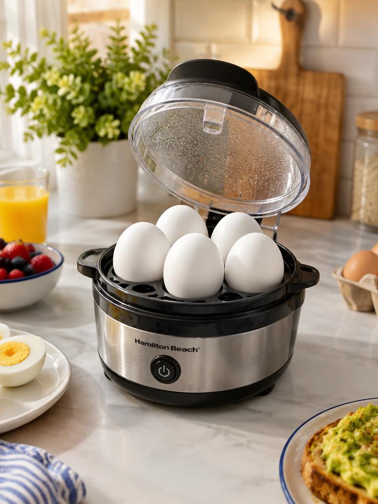 Egg Cooker in a home kitchen (representative image)